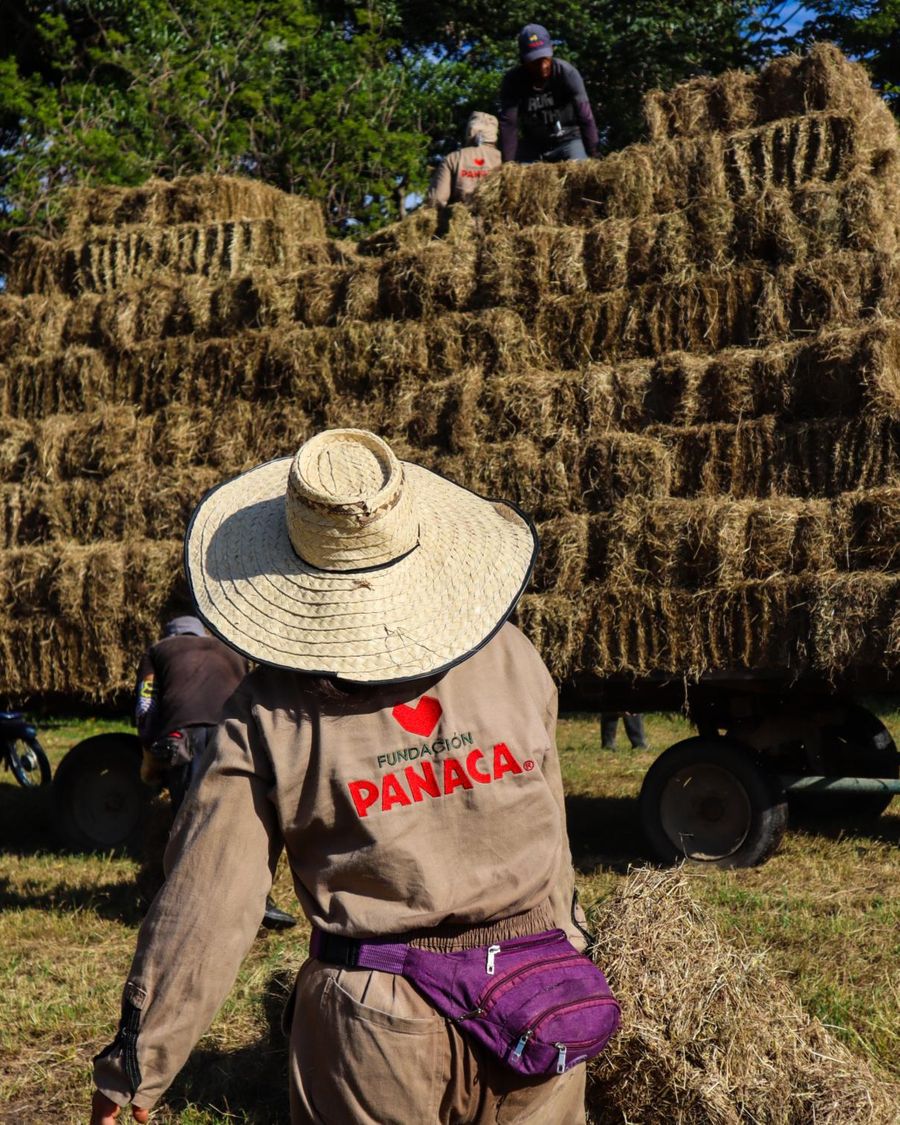Campesino colombiano